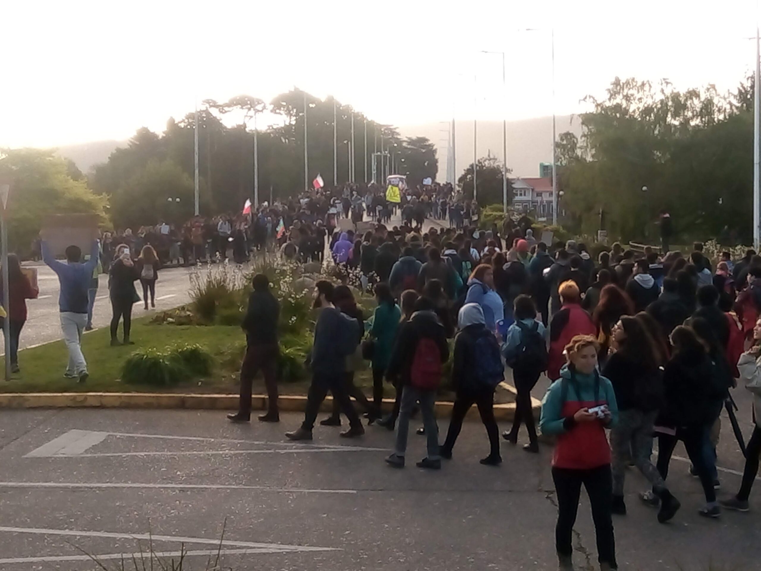 Multitud de personas marchando por una avenida con banderas y carteles durante una manifestación
